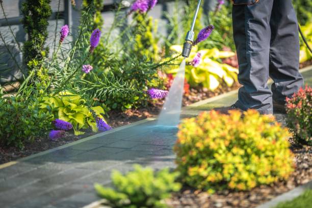 Best Sidewalk and Walkway Cleaning  in Caseyvle, IL