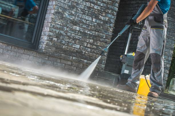 Animal Enclosure Cleaning in Caseyville, IL