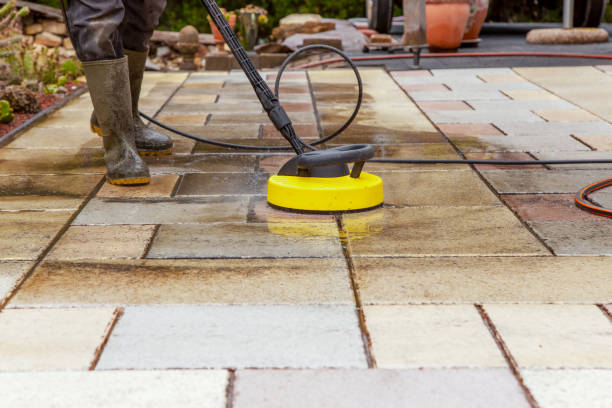 Best Driveway Pressure Washing  in Caseyvle, IL